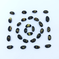 Grands Snacks de Soja Noir Premium Non Frits, Grillés au Goût Salin, pour Supermarchés et Détaillants Mondiaux