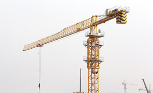 Grúa Torre de Ascenso Externo TC8030 de 25 Toneladas Fabricada en Xuzhou, Jiangsu, en Venta - Product Image 6