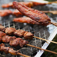 Gril jetable instantané de BBQ d'utilisation de temps de fumeur extérieur avec le charbon de bois
