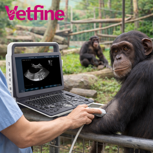 Ecógrafo Médico Portátil, Ultrasonido Doppler Color, Máquina de Ultrasonido Veterinario - Product Image 1