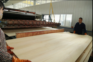 ไม้อัดเบิร์ช100% จากจีนสินค้าคุณภาพสูงราคาดี - Product Image 4