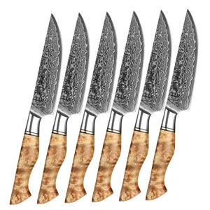 67 Layer Damascus Knife Hot Sale 6 Pieces 67 Layers Damascus Steel Knife With Wooden Handle Multipurpose Restaurant Cutlery Beef Steak Knives Set