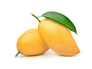 La Mejor Oferta de Mangos Frescos 2026, Naturales y Puros, Disponibles en Grandes Cantidades con Empaque Personalizado, Mangos Frescos en Venta - Product Image 3