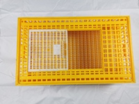 Boîte de transport pour volailles en plastique épaissi empilable, panier de transfert pour cailles et poussins, caisses de transport pour poulets
