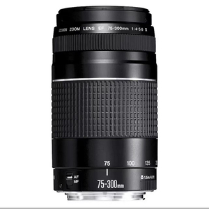 Objectif d'appareil photo d'occasion original en gros à prix abordable, objectif EF-S 75-300mm 1:4-5.6 - Product Image 3