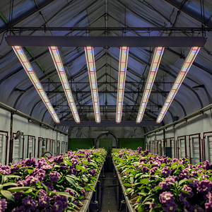 Precio muy bajo <span class=keywords><strong>720</strong></span> W Led Grow Light Global Full Spectrum Grow Lights <span class=keywords><strong>720</strong></span> con UL Grow Light Rated Driver - Product Image 1