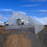 Serre agricole Skyplant à double couche et à simple travée, capacité de pluie de 110 mm/h, économique, productive, durable, en PE