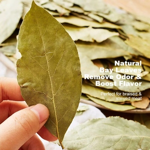 Nueva Llegada: Hoja de Laurel Entera Molido para Exportación de Especias, Hojas de Laurel Secas, Hoja de Laurel Xiangye - Product Image 4