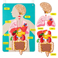 Kits pédagogiques Montessori sur les parties du corps humain pour les tout-petits, jouets d'apprentissage de l'anatomie préscolaire, éducation précoce OEM