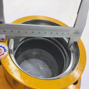 Pièces d'excavatrice de haute qualité - Cylindre de flèche R320-7 - Product Image 5