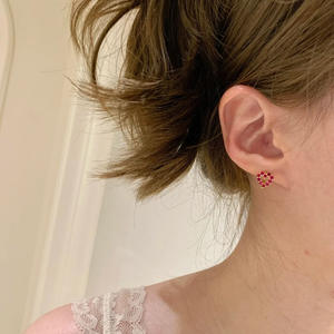 Aretes de Plata 925 para Mujer Hipoalergénicos con Circonia Cúbica, Joyería Fina, Venta al por Mayor, Regalo Diario - Product Image 1