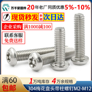 Wanqian Fasteners 304 Stainless Steel Torx Pan Head Screw M2 M2.5 M3 M4 Standard Grade 10.9 12.9 Passivated - Product Image 5