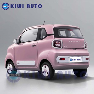 <span class=keywords><strong>PRIX</strong></span> USINE BESTUNE Penteng Pony <span class=keywords><strong>Mini</strong></span> Voiture Électrique Pure 2026 222km pour l'Exportation - Product Image 4
