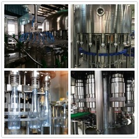 Oranje Mango Druif Wortelsap Productielijn 3 In 1 Pet Fles Appelconcentraat Bottelmachines Sap Vulmachine