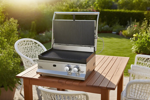 Machine à Panini Professionnelle à Gaz, Grill Rainuré Complet, 2 Brûleurs, pour Panini et Hamburgers, Modèle 500R - Product Image 6