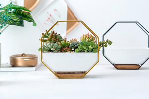 Macetero de Pared Moderno con Diseño <span class=keywords><strong>Octagonal</strong></span> de Alambre Metálico, Estantes de Pared con <span class=keywords><strong>Maceta</strong></span> de Cerámica para Plantas de Aire - Product Image 3