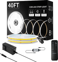 Haute qualité Cob LED bande lumières gradateur Kits Flexible USB connecté Smart LED bande pour la décoration de la maison 24V plastique corps voix