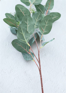 Y0001-5 Commercio All'ingrosso Realistica Artificiale Foglie Di Seta Eucalipto Gambi Per La Decorazione D'interni - Product Image 4