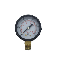 Low & High Pressure Gauges 300Psi Brass & Steel DN50 Pressure Measuring Instruments