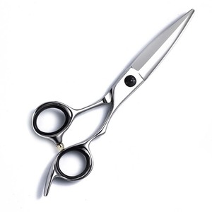 Professional Hairdressing Scissors 6 Inch 440C Stainless Steel Sharp Blade Medium Handle For Stylists Cross Border Use - Product Image 1