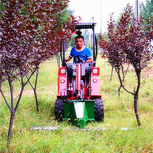 מכונה חקלאית <span class=keywords><strong>4</strong></span> גלגל כונן מיני גלגל מטען חשמלי dy620 קטן מעמיס חווה עם מנוע קובוטה - Product Image 6