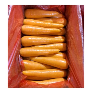 2025 carottes fraîches biologiques sans pesticides cultivées riches en bêta-carotène goût croquant pour la vente au détail et l'industrie alimentaire - Product Image 2