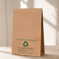 Enveloppe en papier kraft biodégradable écologique personnalisée, sac d'expédition recyclable et réutilisable pour l'emballage durable des vêtements et des chaussures