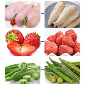 ORME Machine de lyophilisation de fruits industrielle Liofilizador Machine de lyophilisation commerciale pour les aliments - Product Image 3