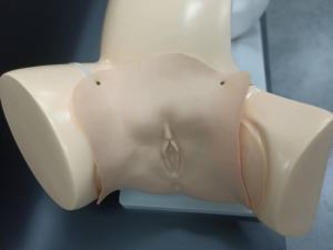 Modèle de cours de livraison pour l'enseignement médical - Product Image 4