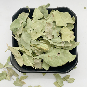 Luo Bu Ma Getrocknete Apocynum Venetum Blätter Kräuter-Blauweißblatt-Tee - Product Image 5