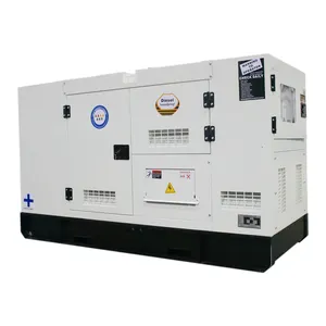 Gruppo elettrogeno elettrico Diesel a baldacchino silenzioso serie Weifang Ricardo trifase 20KW/25KVA 50Hz 400V