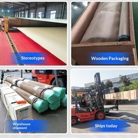 Tissu filtrant de désulfuration sous vide à surface lisse, conception personnalisée, matières premières importées, tissu filtrant de déshydratation résistant à l'usure