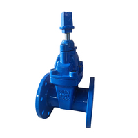 Vanne à opercule souterraine WEIZIDOM BS5163 DN50~DN400 à joint souple pour système d'eau
