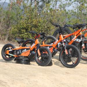 BMX Toddler 12 16 Inch Wheel Park Road Pump Track Race Cycle <strong>Girl</strong> Boy Baby Child Children Kids Balance <strong>Bike</strong> Electric - Product Image 3