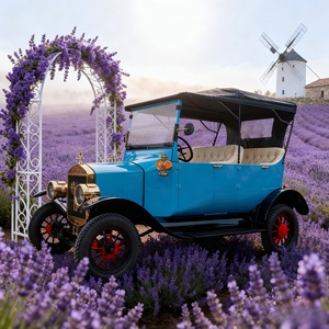 <span class=keywords><strong>Voiture</strong></span> électrique rétro <span class=keywords><strong>de</strong></span> tourisme 6-8 places - Design unique pour navette <span class=keywords><strong>de</strong></span> villégiature/mariage, carrosserie métallique et conduite fluide - Product Image 6