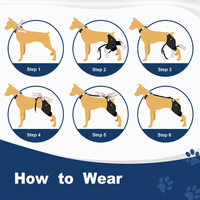 Attelle chauffante réglable pour genou d'animal de compagnie avec thérapie par vibration, en tissu doux, pour dysplasie de la hanche canine, arthrite, soin des pattes et soutien canin