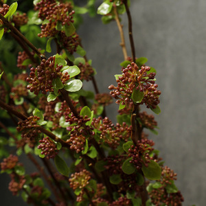 Natural Shape Long Stem Artificial Milan Fruit Branches Faux Berry <strong>Twigs</strong> <strong>for</strong> Home Vase Floral Arrangement Living Room <strong>Decor</strong> - Product Image 6