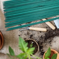Tuteur de plante moderne en bambou vert anti-chute avec support fixe pour usage intérieur/extérieur, pour la fixation des fleurs et des arbres à monnaie, tuteur simple