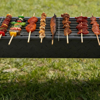 Parrilla de Carbón Portátil Económica para Jardín, Plegable, Tipo Charbroiler, para Exteriores, a Propano, Estilo Argentino