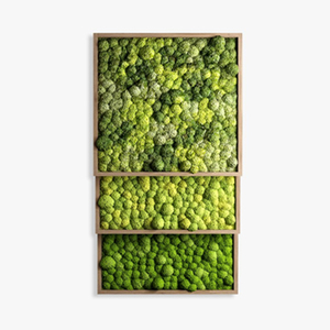 En gros artificielle <span class=keywords><strong>tourbe</strong></span> tapis <span class=keywords><strong>de</strong></span> <span class=keywords><strong>mousse</strong></span> panneau <span class=keywords><strong>de</strong></span> mur d'art, <span class=keywords><strong>mousse</strong></span> artificielle colorée pour la décoration - Product Image 5