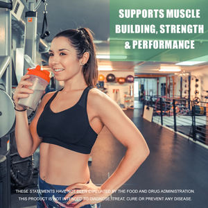 Gold Coast Compléments Sportifs Prise de Masse Protéine <span class=keywords><strong>Whey</strong></span> Isolat Poudre Adultes Gain Musculaire Nutrition Sportive Vrac 1 Cuillère 24 Mois - Product Image 3