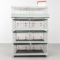 Cages à poulets de chair WIN, cages en batterie à 4 niveaux pour 20 000 oiseaux, élevage de volailles de chair, conception directe usine de type A