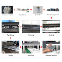 Volledig automatische vierstationse machine voor het maken van plastic voedselafdekkingen en blisterverpakkingen onder vacuüm, geschikt voor PS, PP, PVC, PLA en PET.