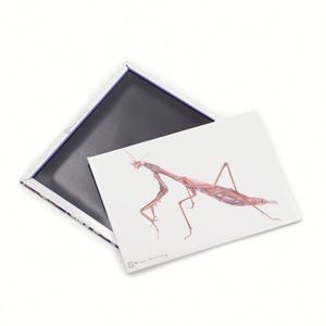 Promotional High Quality 50X50mm Tin Supplies Animal <b>Fridge</b> Magnet for Kids - Product Image 5