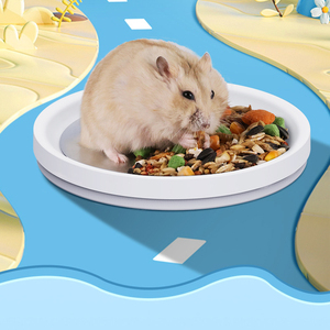 <span class=keywords><strong>Nido</strong></span> Rinfrescante in Plastica per Criceti, Igloo Estivo per Piccoli Animali, Ideale per Uccelli - Product Image 5
