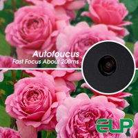 48MP 8K 8000X6000 Autofocus de velocidad rápida 200ms Pequeña cámara web industrial Cámara USB con lente AF 70deg CCTV para PC Transmisión en vivo