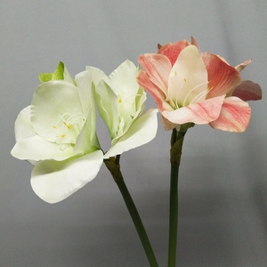 Z265 Hoa <span class=keywords><strong>Clivia</strong></span> Nhân Tạo Chất Lượng Cao Bán Chạy Hoa <span class=keywords><strong>Clivia</strong></span> Nhân Tạo Để Trang Trí Nhà Cửa Tiệc - Product Image 6