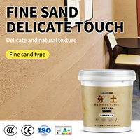 Peinture texturée effet terre battue, type sable fin, perméable à l'humidité, lavable, résistante aux rayures, pour mur d'accentuation domestique