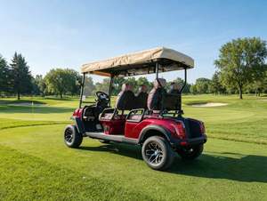 Carrito de Golf Eléctrico de 4 Plazas, Carrito de Caza, Buggy de Golf, Carrito de Golf con Batería para Caminos Privados - Product Image 4