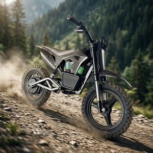 Scooter Eléctrico de Alta Potencia para Niños de la UE, 350W, 36V, Bicicleta de Montaña, Velocidad 30km/h, 120kg-BC001 - Product Image 2
